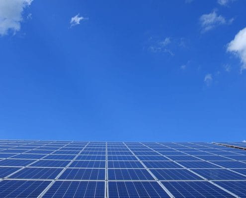 DIY vs. Professional Solar in Kings Park